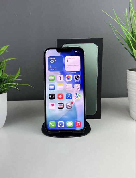 Apple iPhone 13 Pro 256 GB