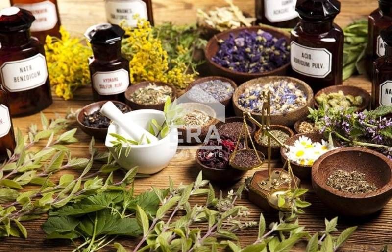 Уникална възможност – работещ био земеделски бизнес с техника, оборудв