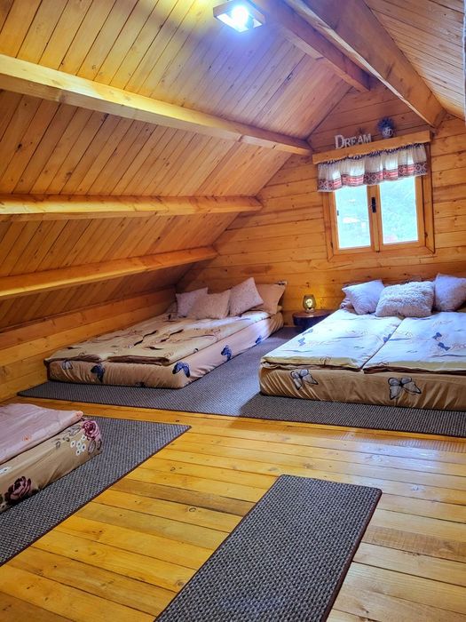 Cabana la munte, pe Valea Moasei, în apropiere de Sibiu