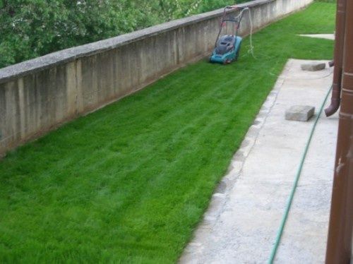 Био Тор за трева - райграс (50л-12лв) 3мм сито