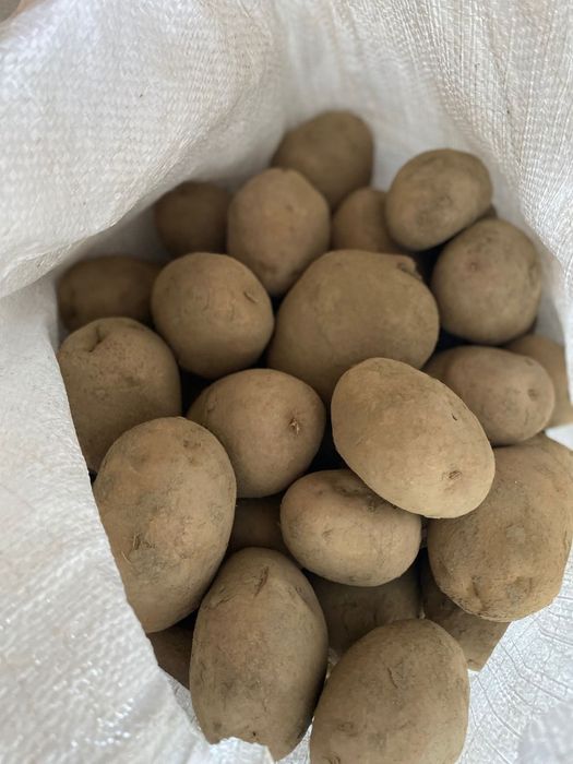 Cartofi rosii si albi