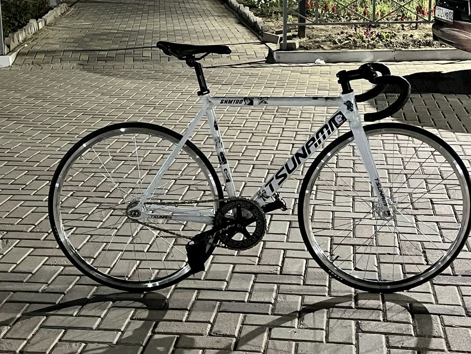 Тсунами снм 100