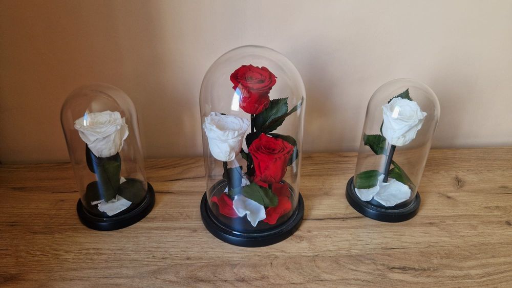 Trandafiri Criogenați – Cadoul care Durează Ani