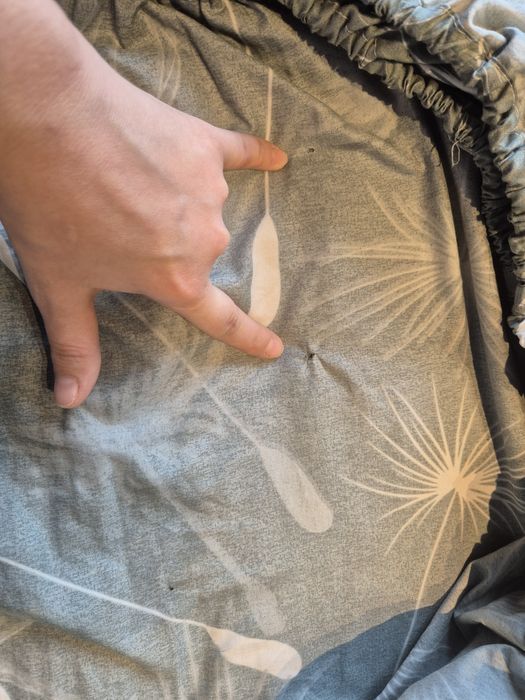 Set lenjerie pat kingsize 200×220 bumbac