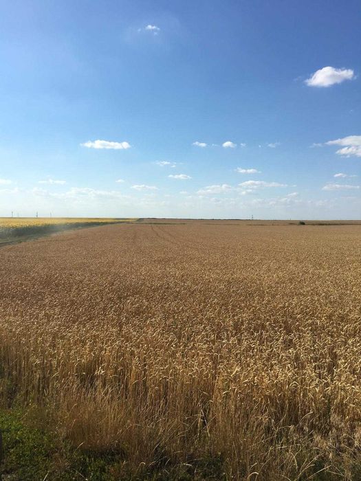 Vand 103 ha teren agricol compact