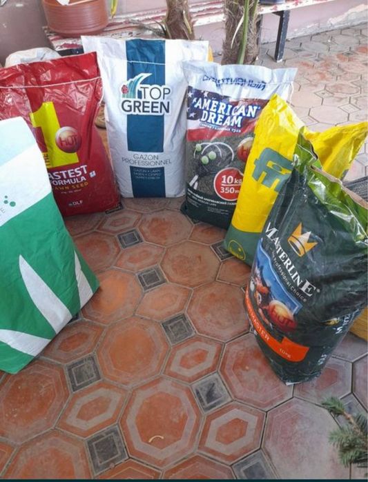 Газон екамиз уруг ва рулон 100% Халол!