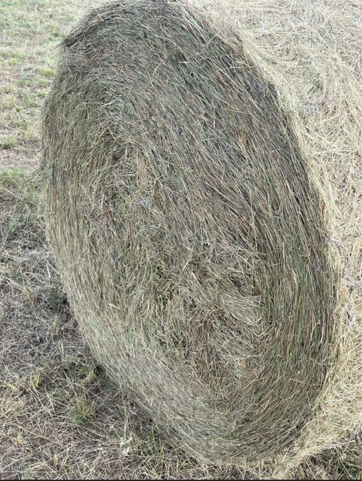 Продаётся качественное, сухое сено в тюках.