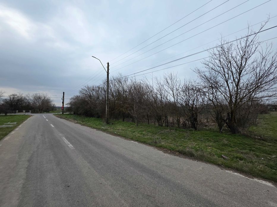 Teren 5000mp intravilan + casa veche | Curcani - Calarasi | 50km Buc