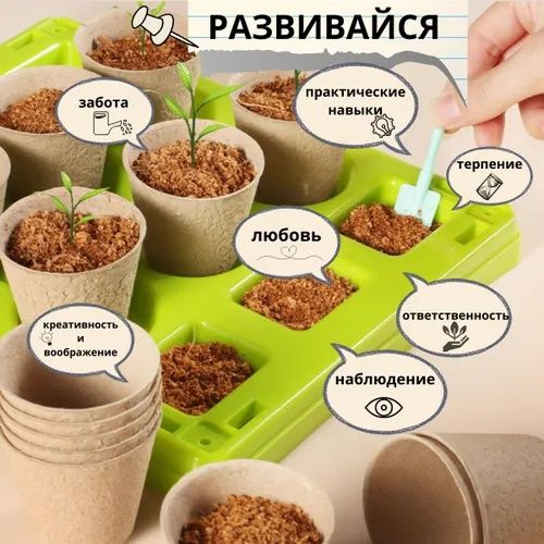 Мини теплица Умный сад для выращивания растений