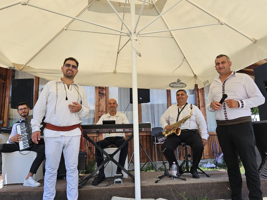 Formație, orchestră, muzică live ,lăutari