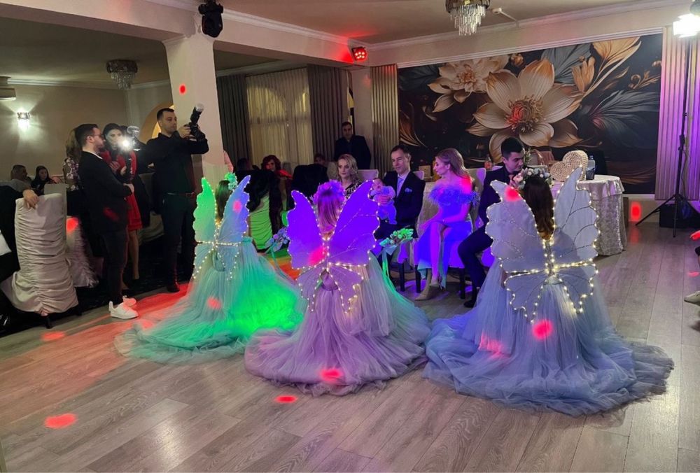 Ursitoare botez si mascote Disney