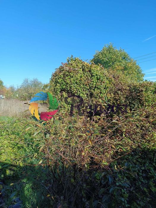 Продава се Къща в с. Климентово, Област Варна - 120 кв.м за 617 €/кв.м - Снимка #5