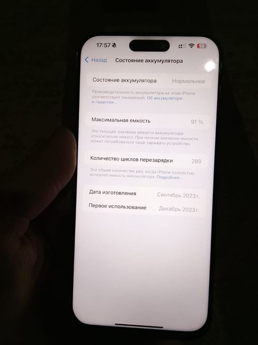 iPhone 15 Pro Max 256/91%