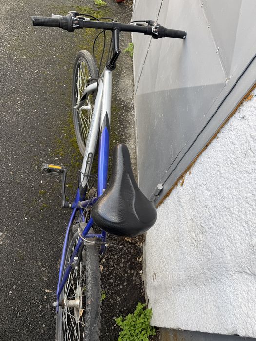 Bicicleta barbati