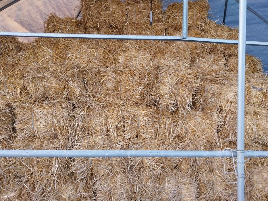 Baloti de paie de vânzare