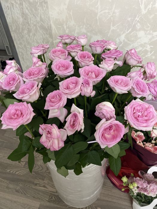 Продается цветы свежие