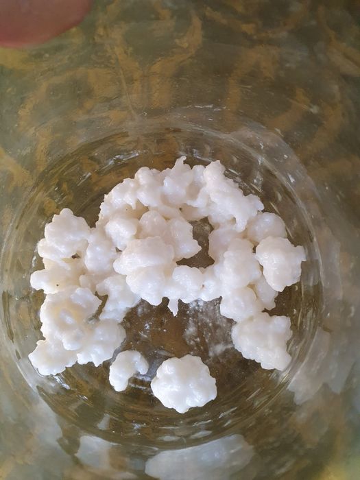 Cristale Japoneze si Ciupercă Tibetană pt Kefir de apă /lapte