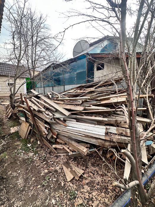 Дрова, лес с дома