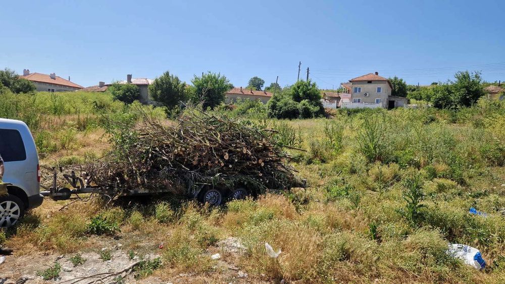 Професионално почистване и поддръжка на дворове .