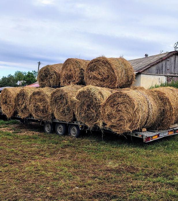 Baloți rotunzi 125/125 cm ptr oi și capre