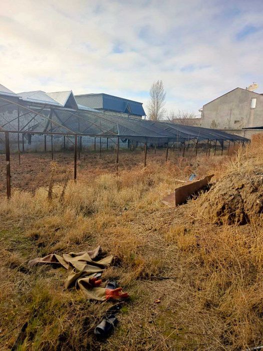 Яангйол тумани Тинчли махаласида 13 сотихли ховли сотилади