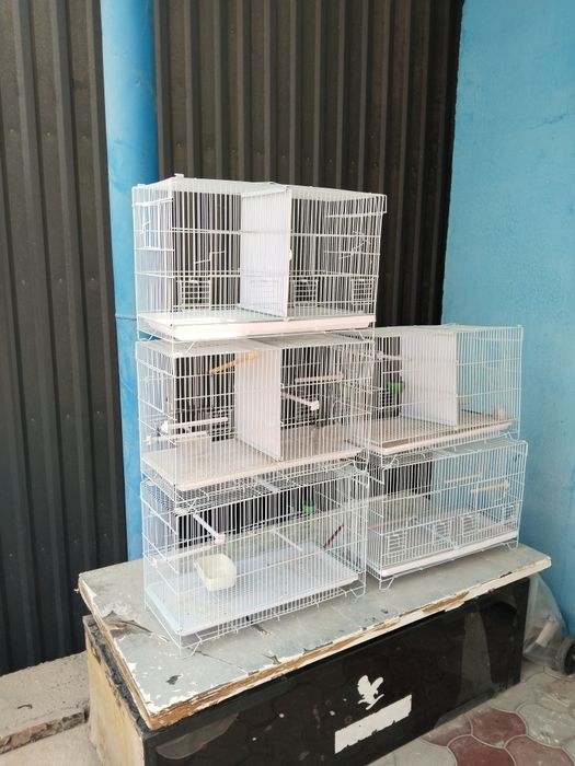 Клетка трехярусная