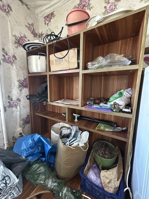 Отдаем безвозмездно