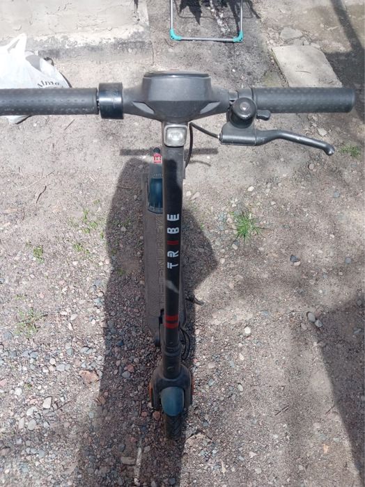 Электро самокат TRIBE