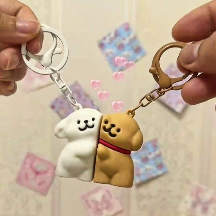 Парные брелки с магнитом Magnitli parali breloklar