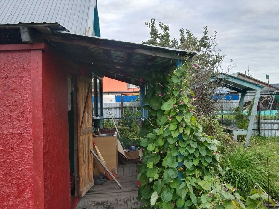 Продам дачу в с/о "Энергетик -1"