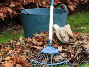 Уборка территории, вывоз мусора,копка ям траншей агародов