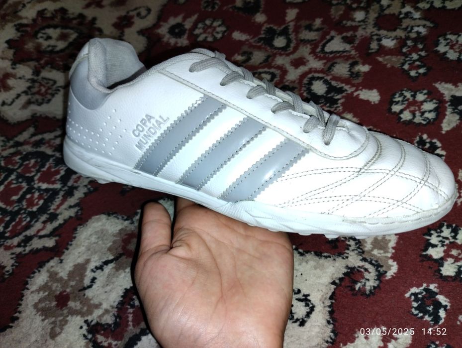 Sarakanoshkani razmeri 42 manzil navoiy