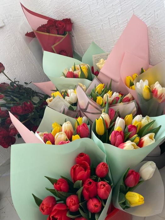 Тюльпан тюльпаны