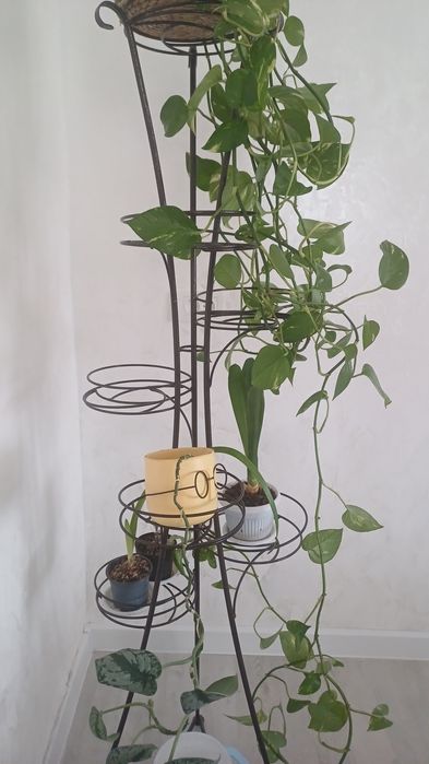 Мебель для дома для сада