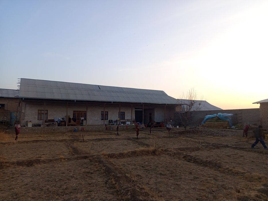 Xovli Sotiladi 18 sotix