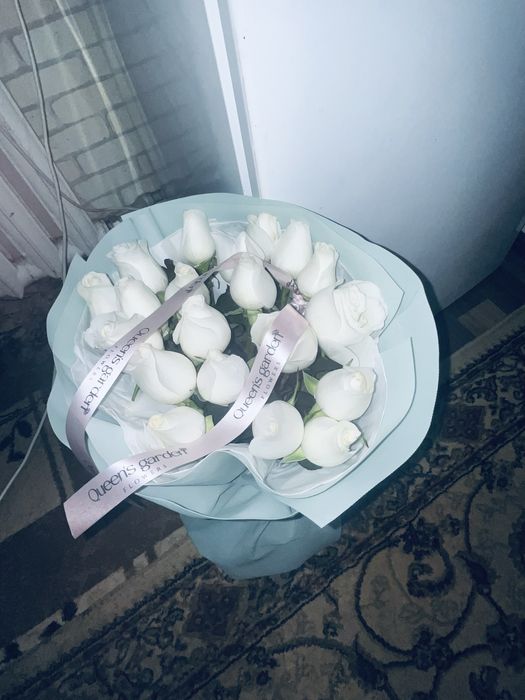 Белый роза , свежийй