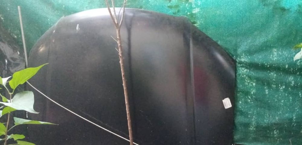 Капот Audi A8 с облицовкой новый