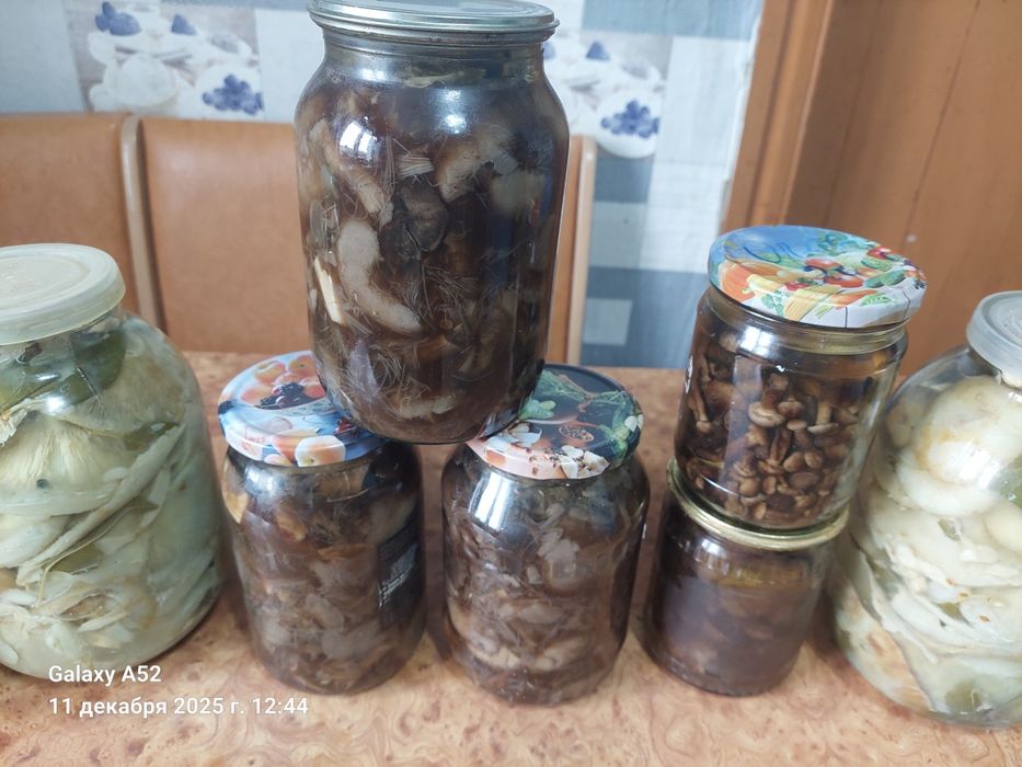 Продам маринованные грибы
