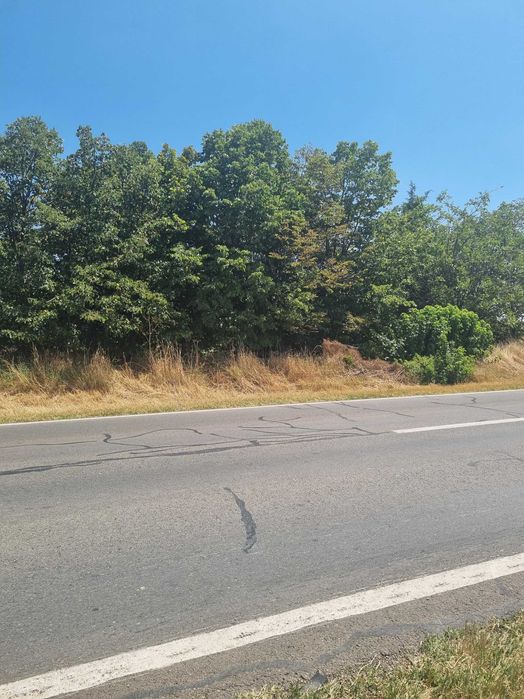 Teren 5000 m intravilan