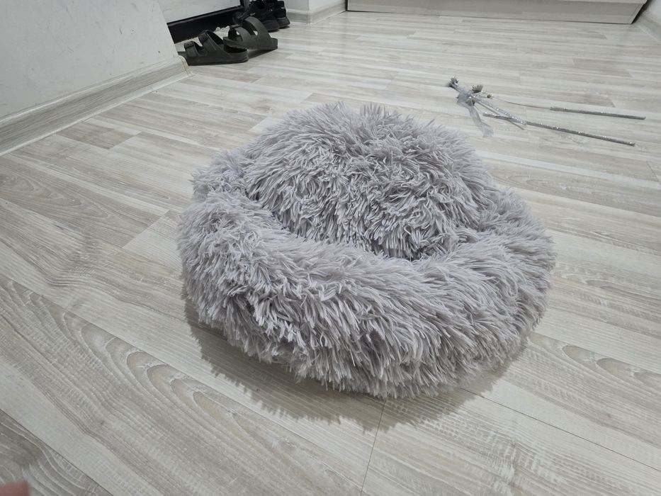 Мысық сатамын барлық заттарымен