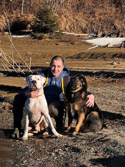 Dresaj canin si disciplina de baza