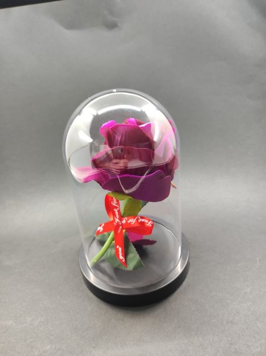 Trandafir de catifea in cupola de plastic