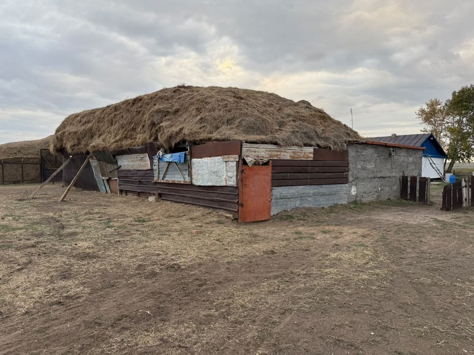 Үй сатылады Тасшоқы  ауылы