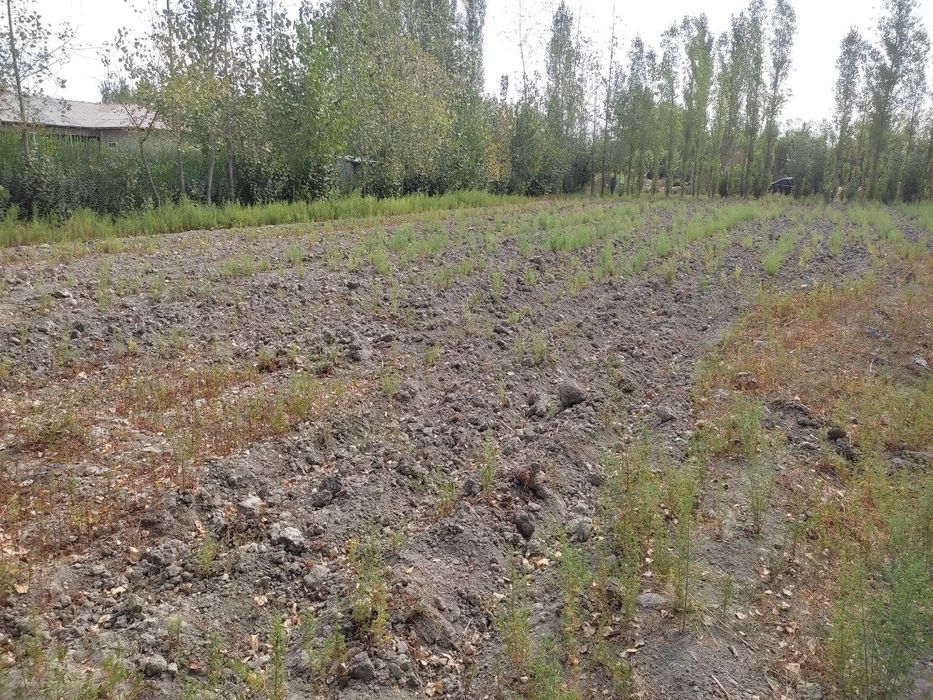 Уй жой учун ер майдони сотилади