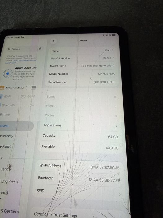 Ipad mini (6th generation) 64 gb cu ecran spart
