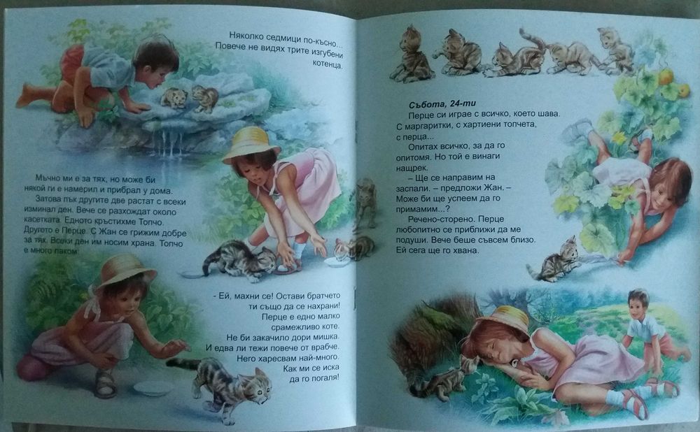 Енканто ,  Марти и котето скитник