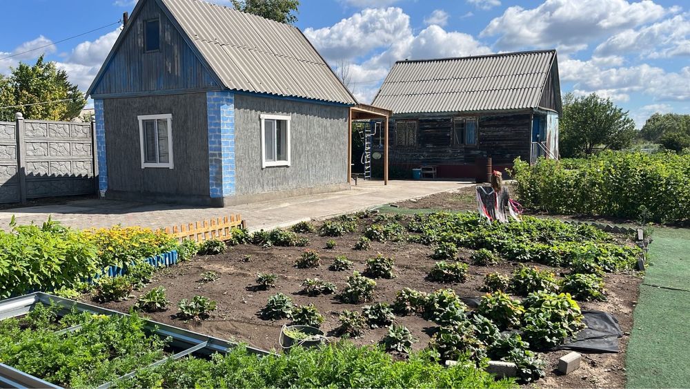 Продам дачу Дамса