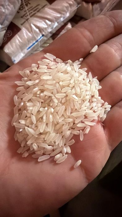 Продаю рис Камолина