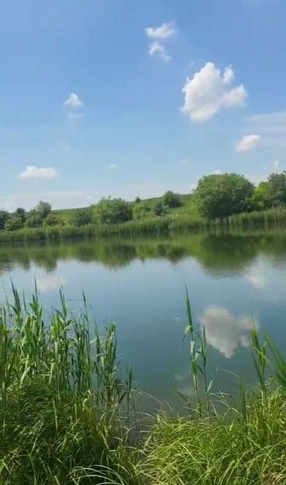 Teren la Buftea cu deschidere la lac