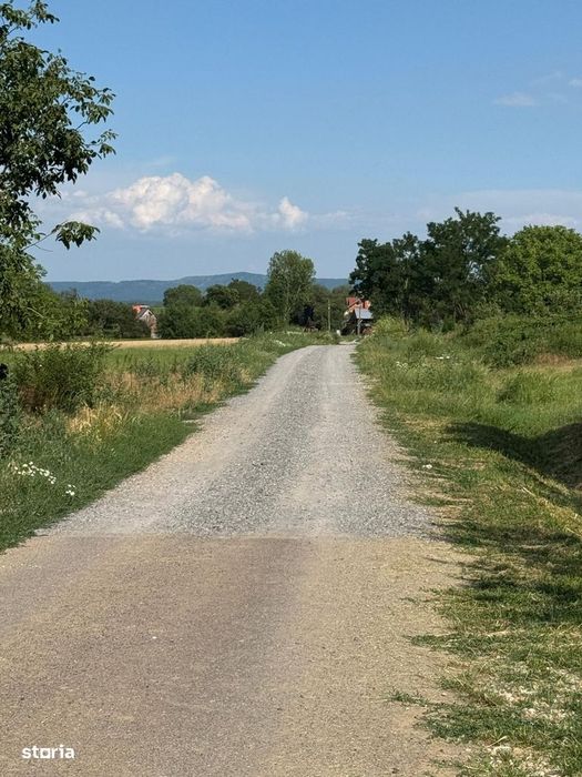Teren intravilan de vanzare – Viile Satu Mare